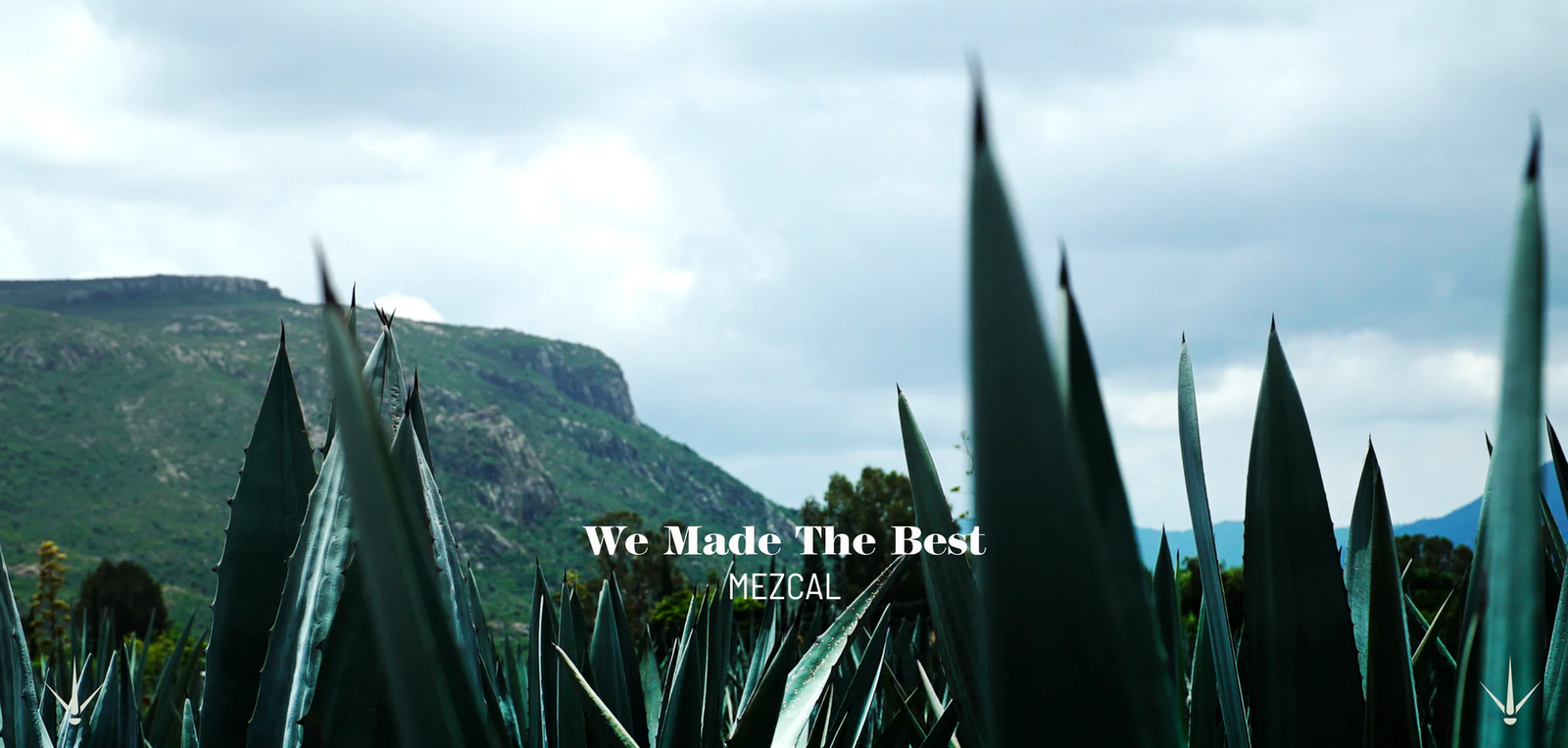 Tradition and Mezcal