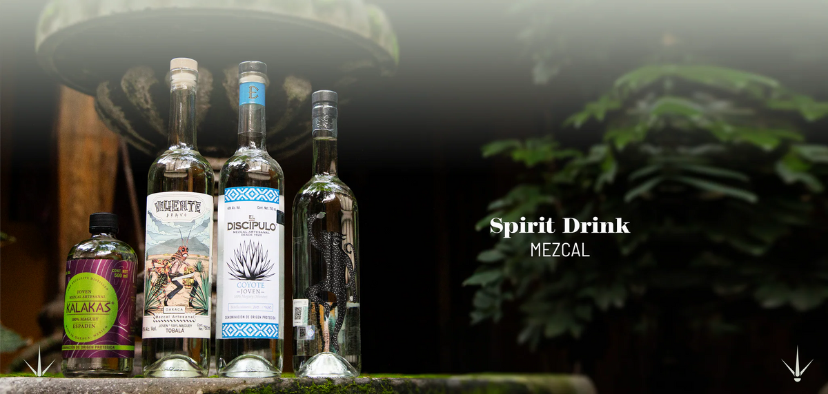 Artisanal Mezcal on the Global Stage: A Spirit Winning Over Palates Around the World