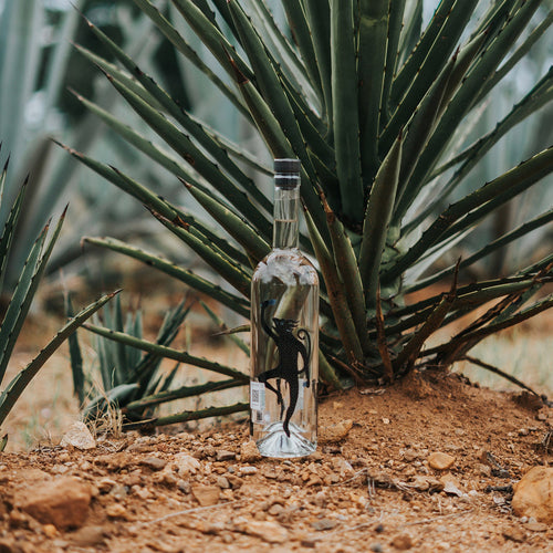 Mezcal Artesanal 9 Espíritus Joven Madrecuishe| 750ml | 45% Alc | Product of Oaxaca