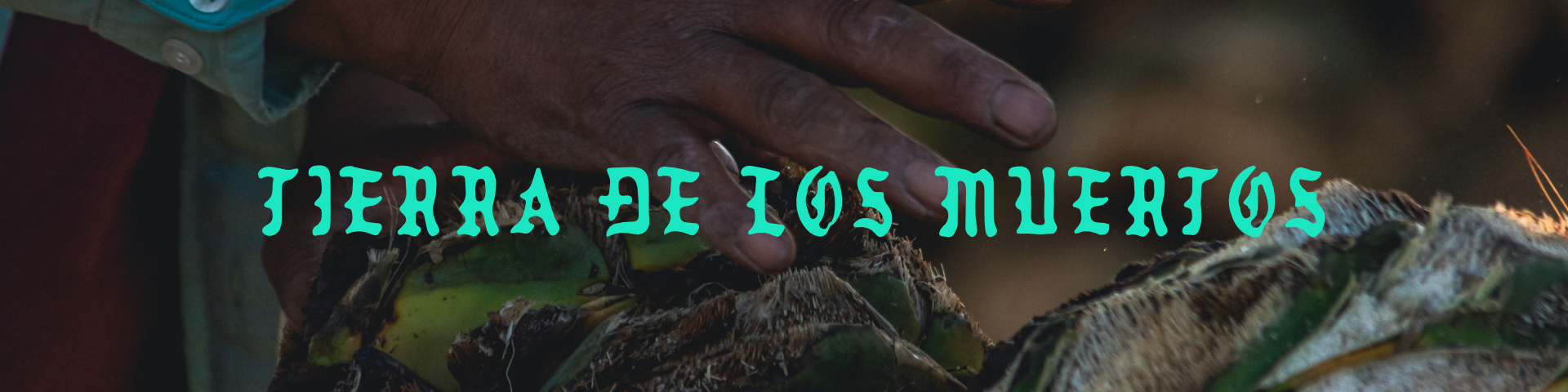 TIERRA DE LOS MUERTOS