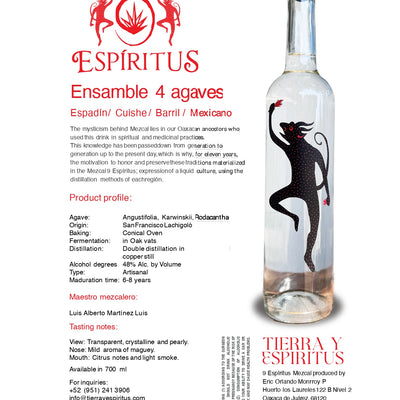 Ensamble 4 agaves Espadín / Cuishe / Barril / Mexicano - Mezcal Artesanal De Oaxaca