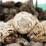 Mezcal Ancestral Kalakas Joven Espadín | 500ml| 48% Alc. Vol. | Product of Oaxaca