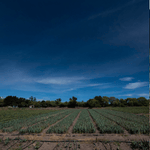 Mezcal Ancestral Kalakas Joven Espadín | 500ml| 48% Alc. Vol. | Product of Oaxaca