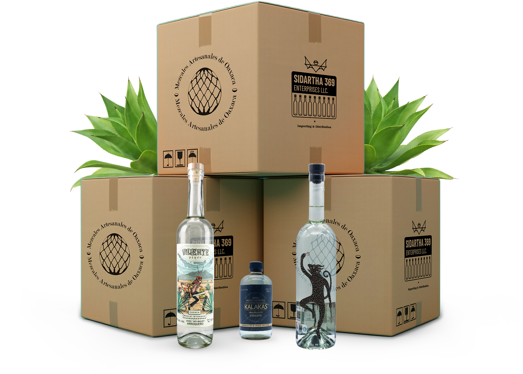 Boxes and Bottles
