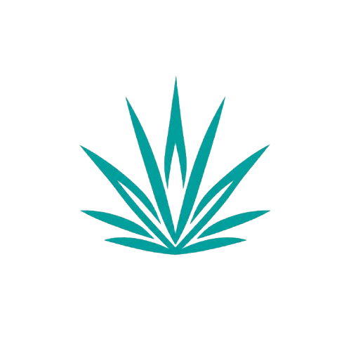 Agave icon