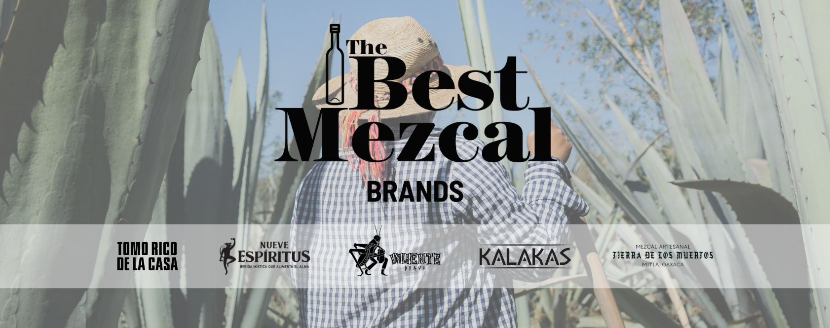 Brand Logos